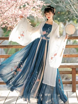 נשים סינית מסורתית Hanfu תחפושת ליידי שושלת האן השמלה רקמה ווי ג ' ין שושלת מסיבת להראות בגדי ריקוד