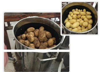 תעשייתי פלדת אל-חלד פירות תפוחי אדמה כביסה מקלף מסחרי צדפה חילזון מכונת כביסה טארו פילינג המכונה
